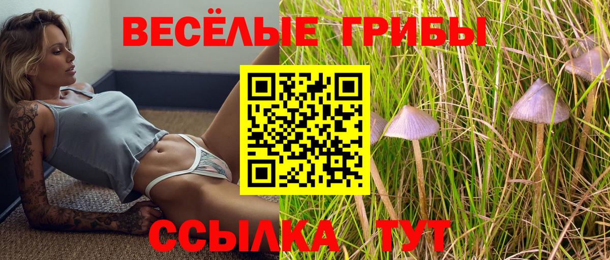Коммунар  купить наркотик  Вход с VPN  Галлюциногенные грибы Cubensis 